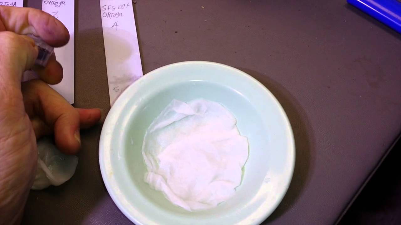 T.S.G.  CannaVenture-SFV OG - Ortega