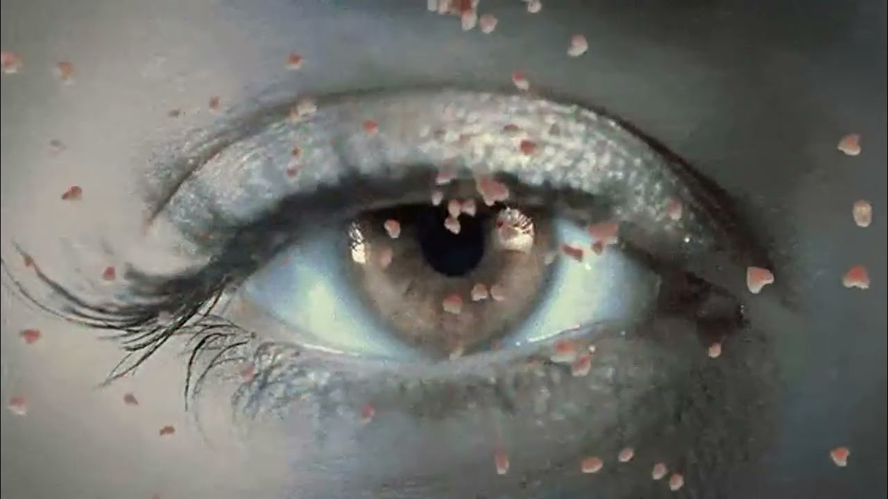 Zcelli Forever - Lost In This Moment (Extended)