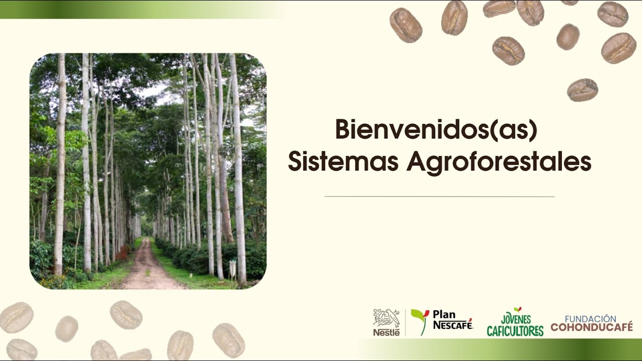 Clase 4: Sistemas Agroforestales