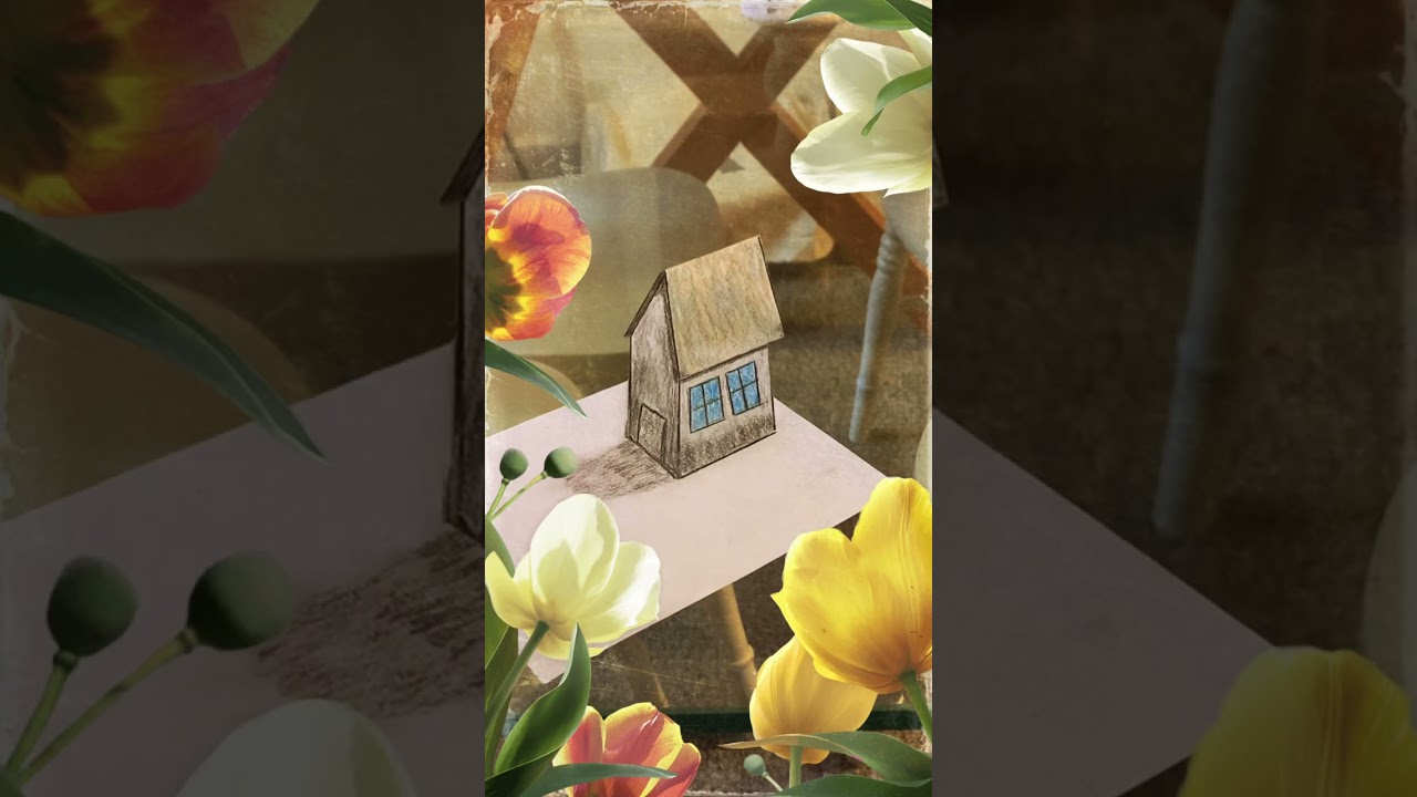 Illusion Art - The Wonky House