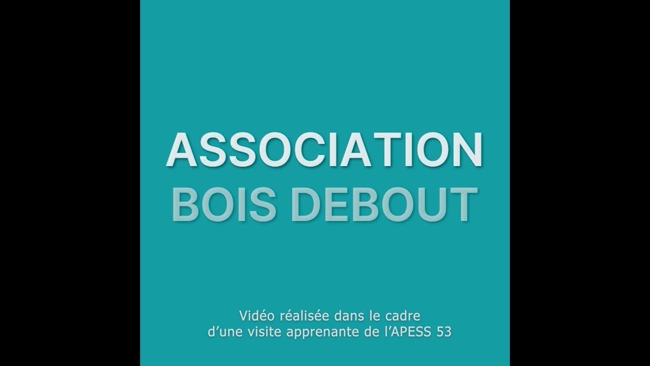 Visite apprenante de l'APESS 53 : chantier et entreprise d'insertion Bois Debout à Laval