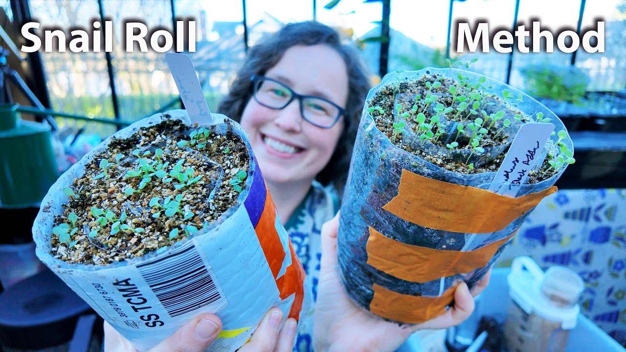 The Truth About Seed Snails: Do the Critiques Hold Up?