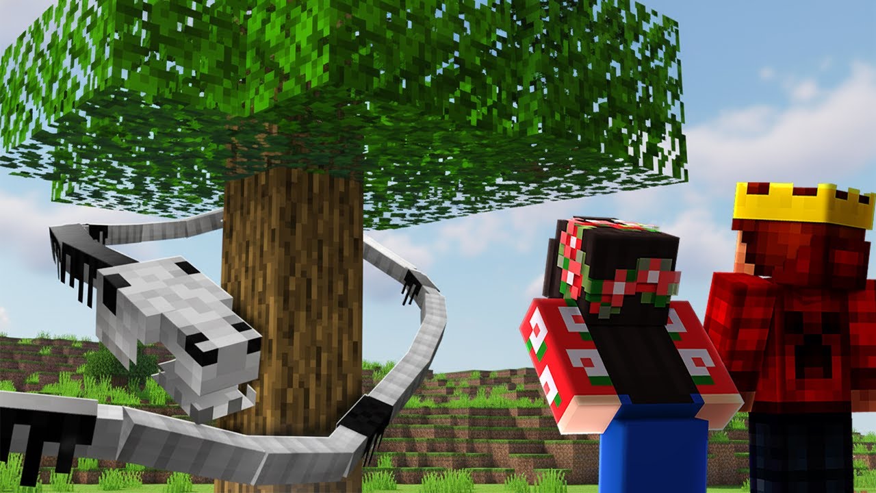 O misterioso LONG HORSE voltou...
