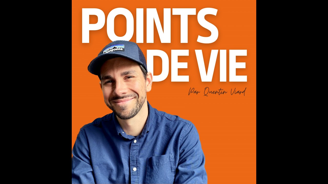 Pokémons, Adaptation Hédonique et Formule du Bonheur.
