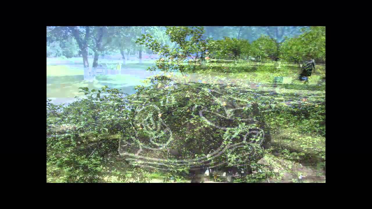 Видео Новополоцк