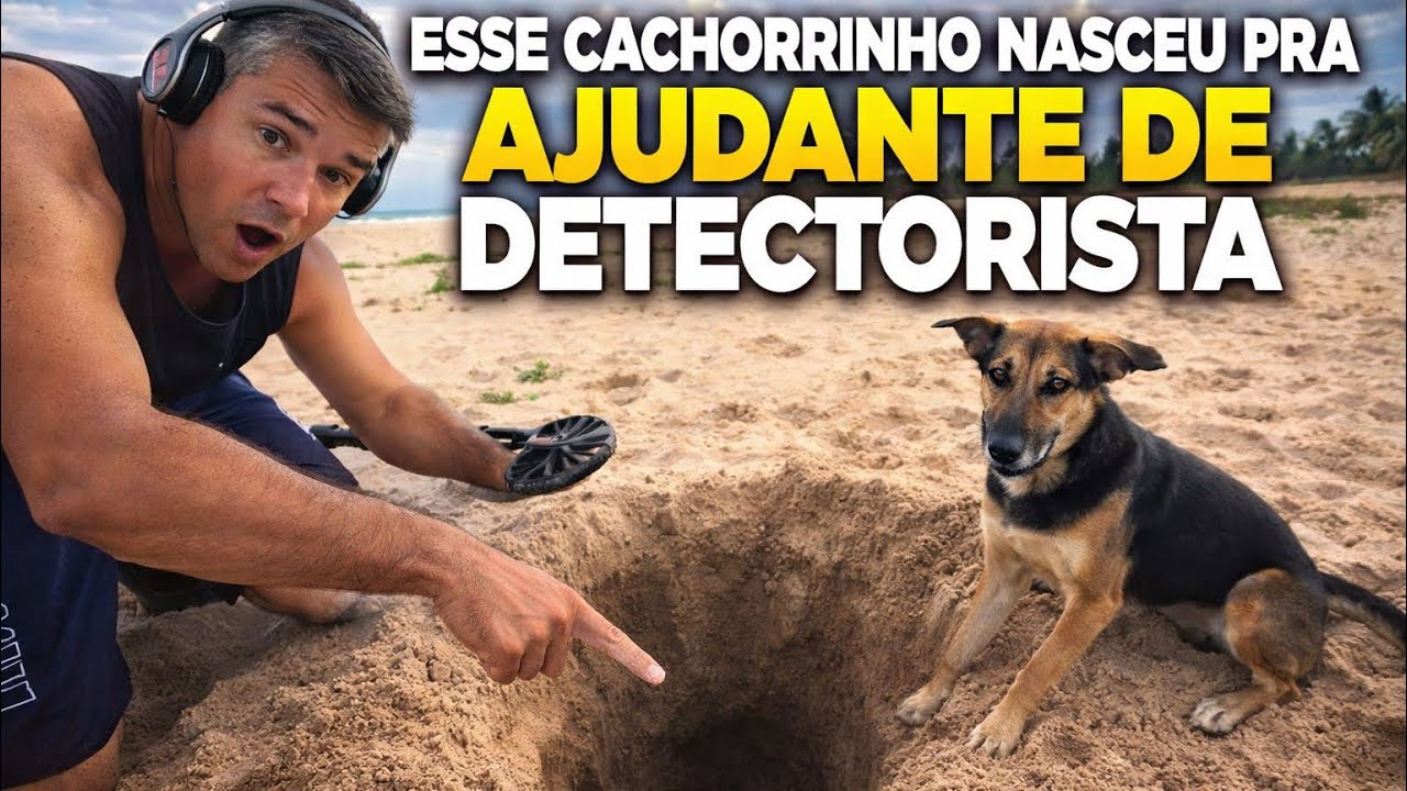 ESSE CACHORRINHO NASCEU PRA SER AJUDANTE DE DETECTORISTA