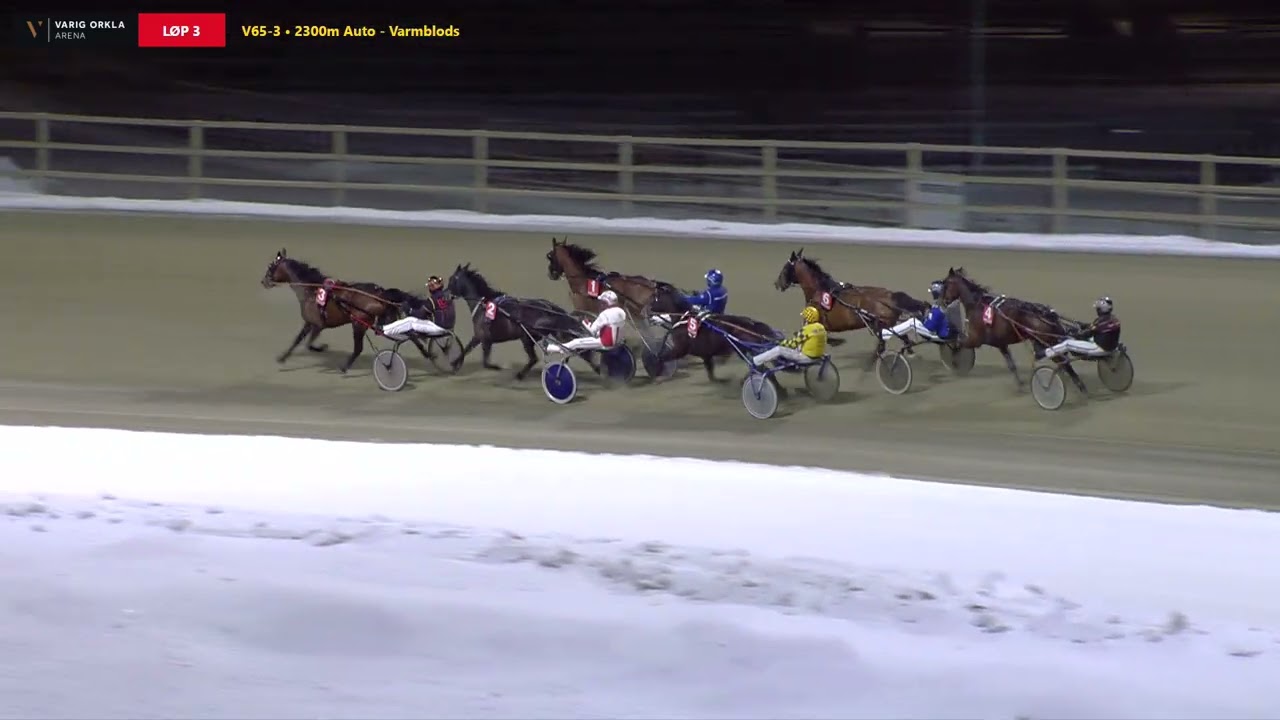 Varig Orkla Arena - Mandag 16. februar 2026 - Løp 3