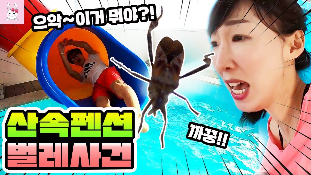깊은 산속에 있는 펜션에 갔다가 일어난 일! 가족 여행 일상 vlogㅣ토깽이네