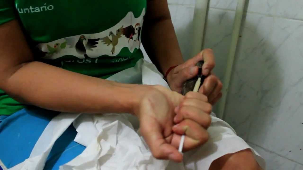 Alimentando a un Pichón de Torcaza