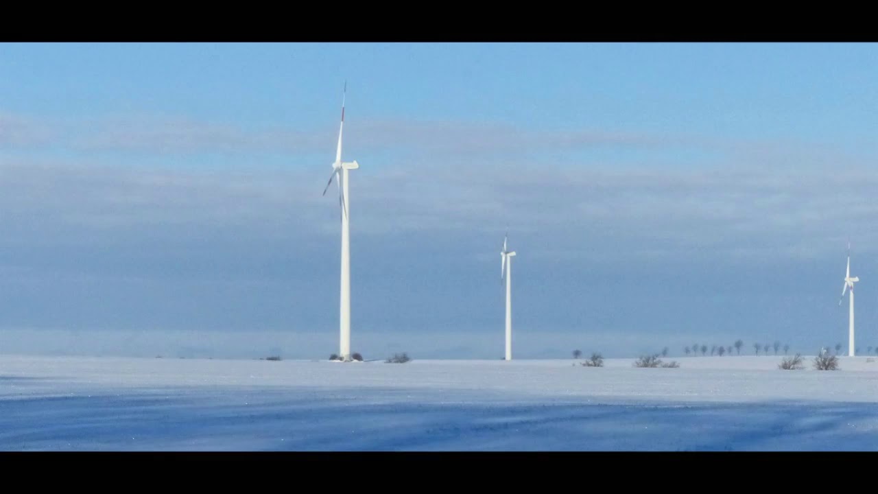 Welbsleben Winter 2021
