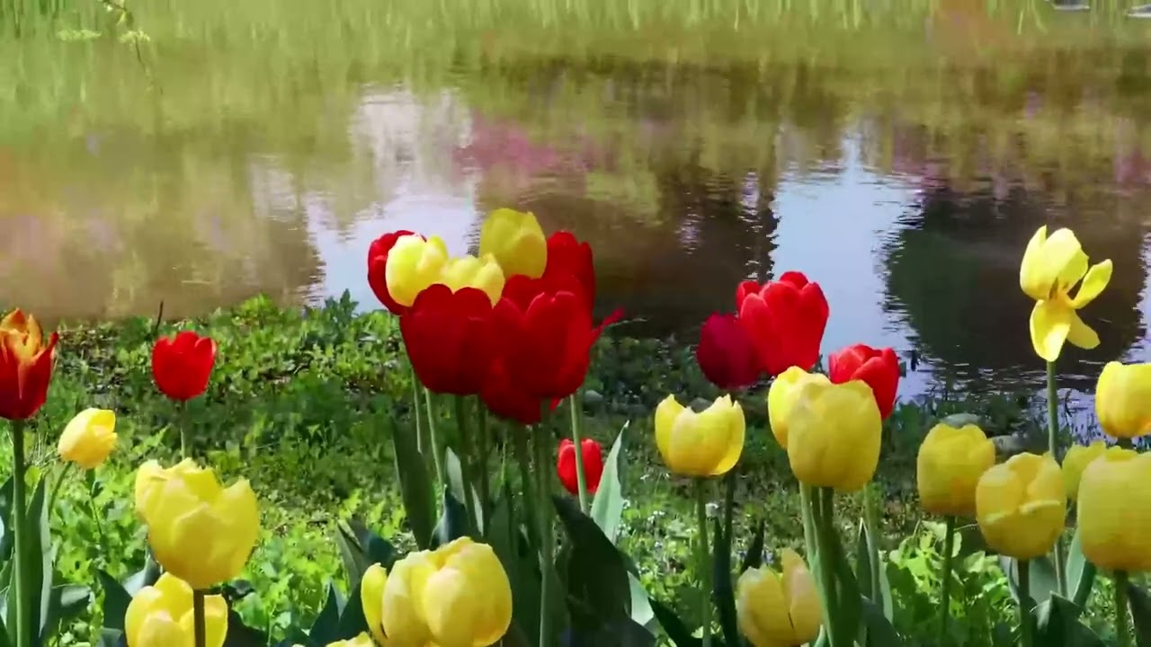 Quelque chose de toi