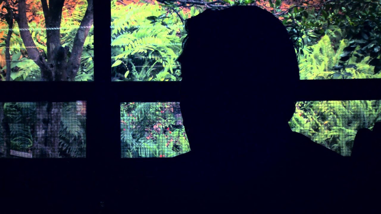 Guatemalan Drug Gangs & Me: The Human Cost of Prohibition