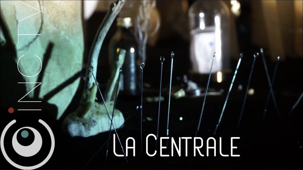 reportage à la CENTRALE for contemporary art