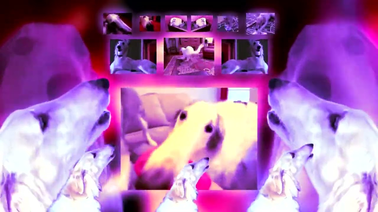 bark by borzoi