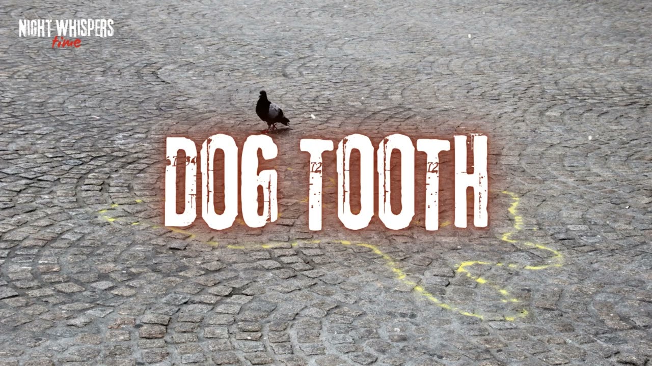 Dog Tooth | Eric Saward | Full Radio Drama 1977 || NightWhispers