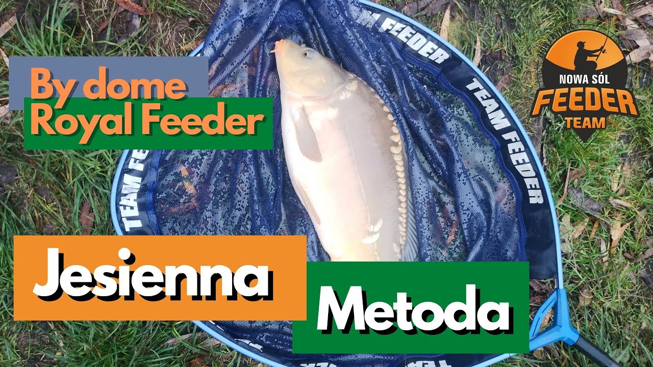 FTNS | Jesienna wyprawa do Sączkowa | Method feeder 100m+ | By dome Royal Carp feeder w akcji