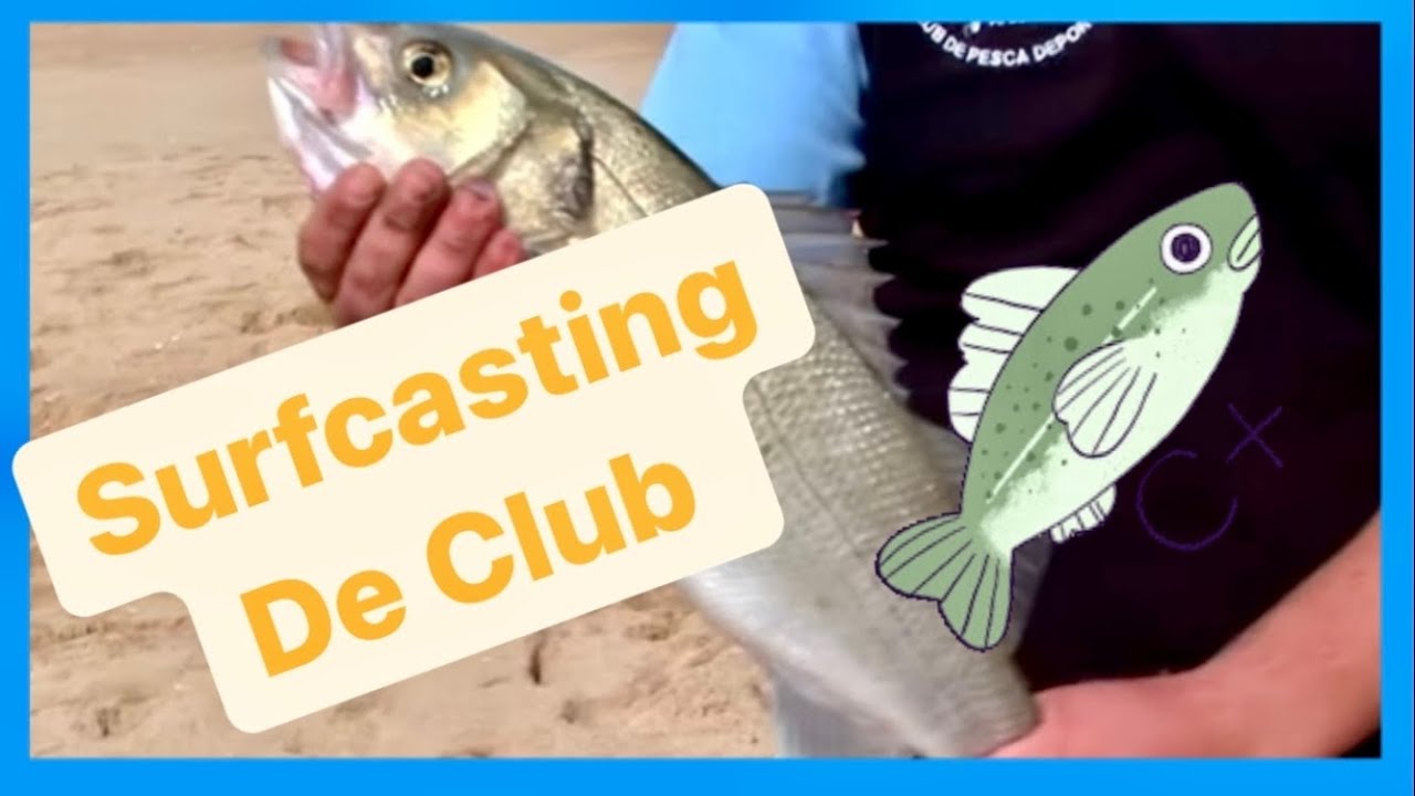SURFCASTING DE CLUB