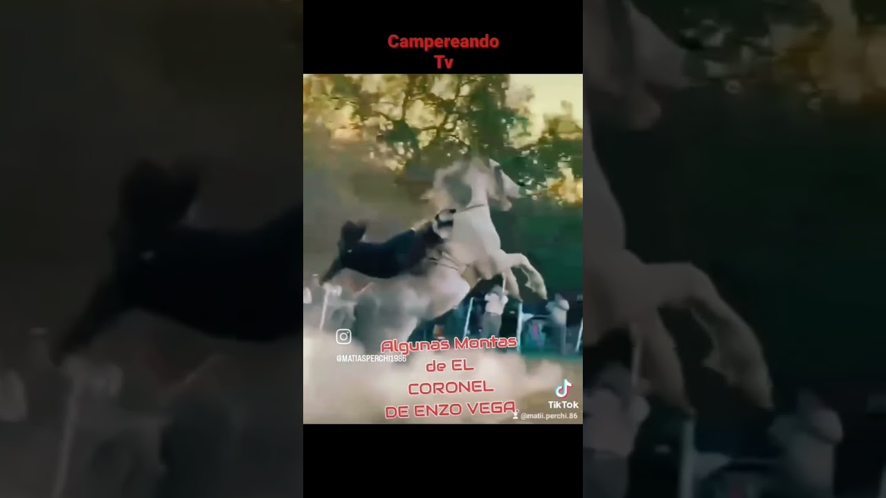 EL CORONEL DE ENZO VEGA.#jinetes #horse #jineteadadecaballos
