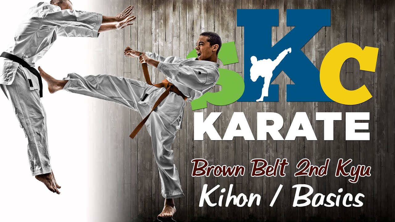 Karate Shotokan Brown 2kyu Belt Basics kihon