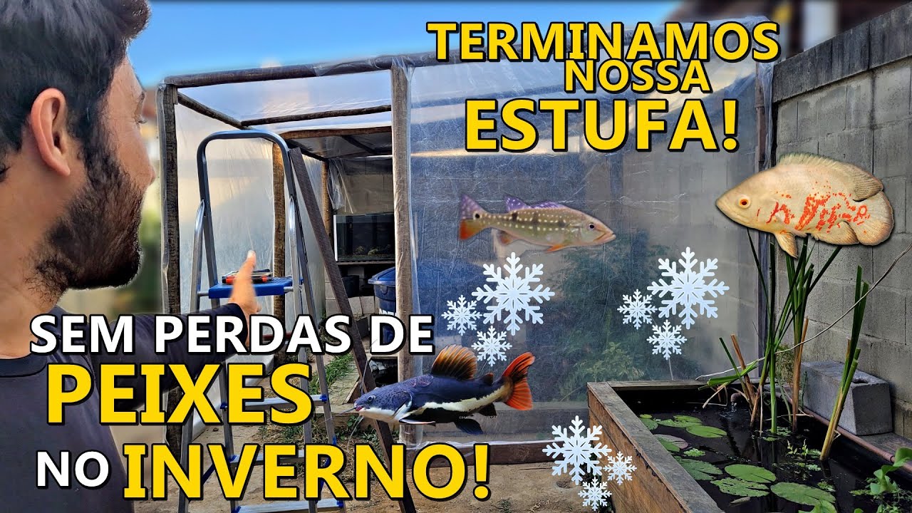 NUNCA MAIS PERCA SEUS PEIXES! Nossa estufa.