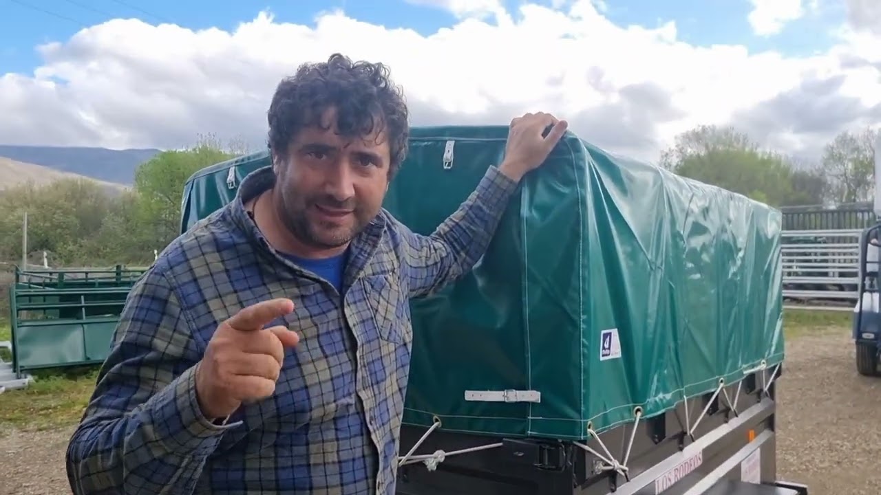 He ido a comprar un remolque y lo voy a estrenar con las merinas de mi amigo Joaquín Ortiz.