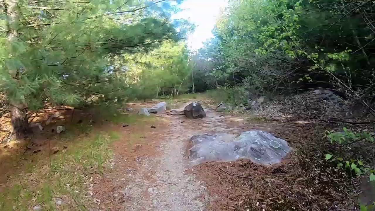 MTB Old Rifle Range