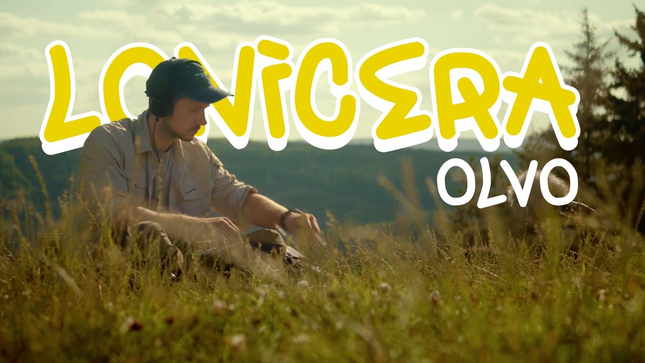 Olvo - Lonicera (live at panorama 