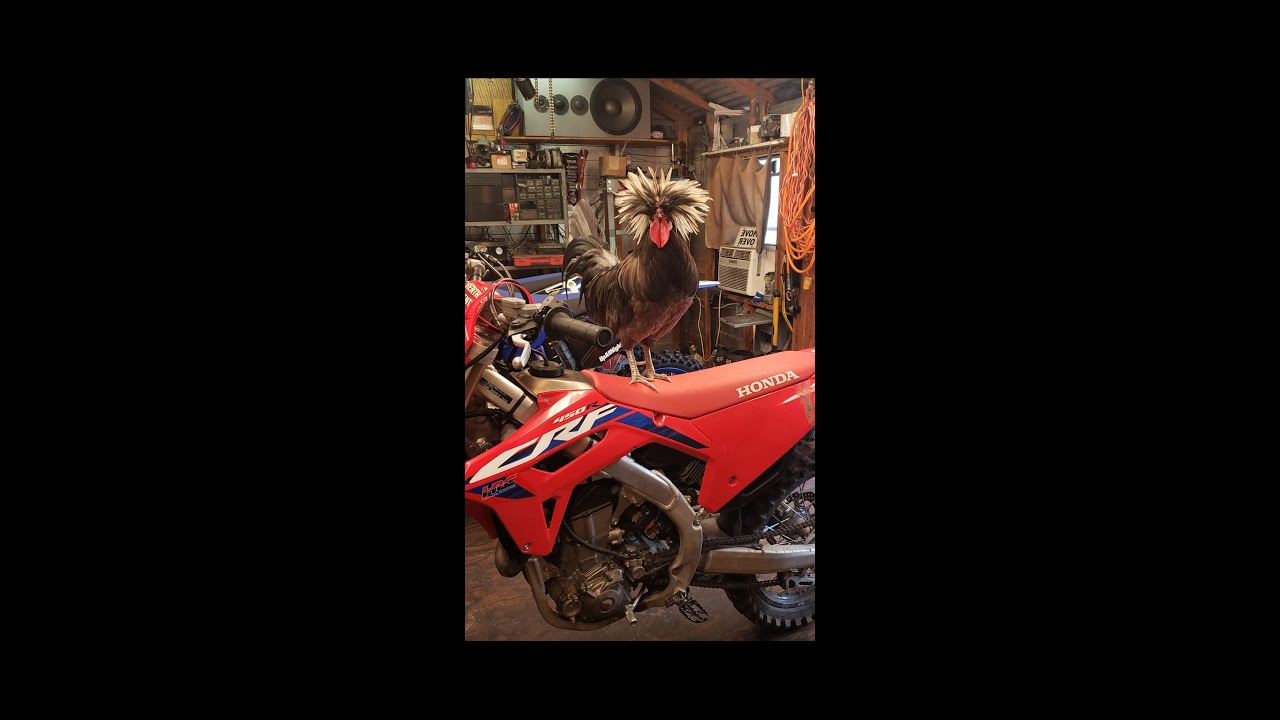 1:11 Break In Procedure. 2 & 4 stroke. New bike, fresh piston, & crankshaft. Motocross dirt bike
