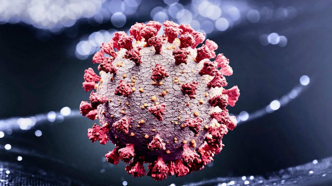 The coronavirus Delta variant definitely spreads more easily... than the other variants: Physician
