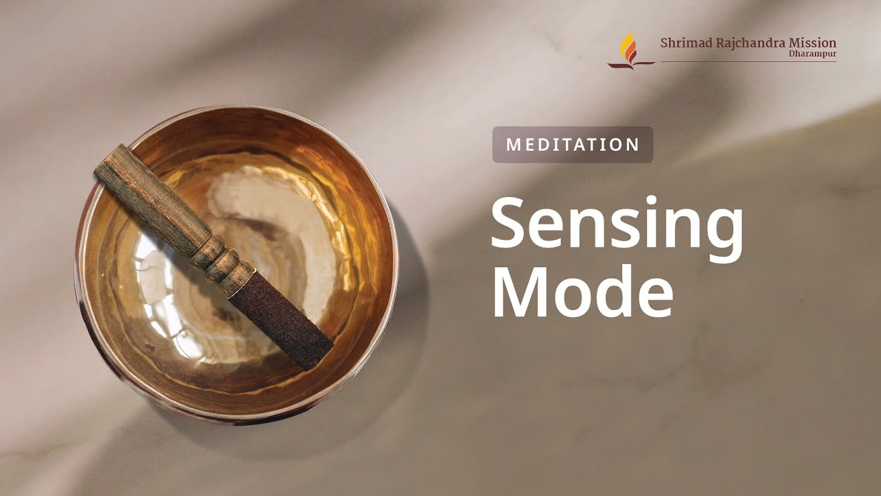 Sensing Mode: Cultivating Mindfulness | 30-Minute Guided Meditation