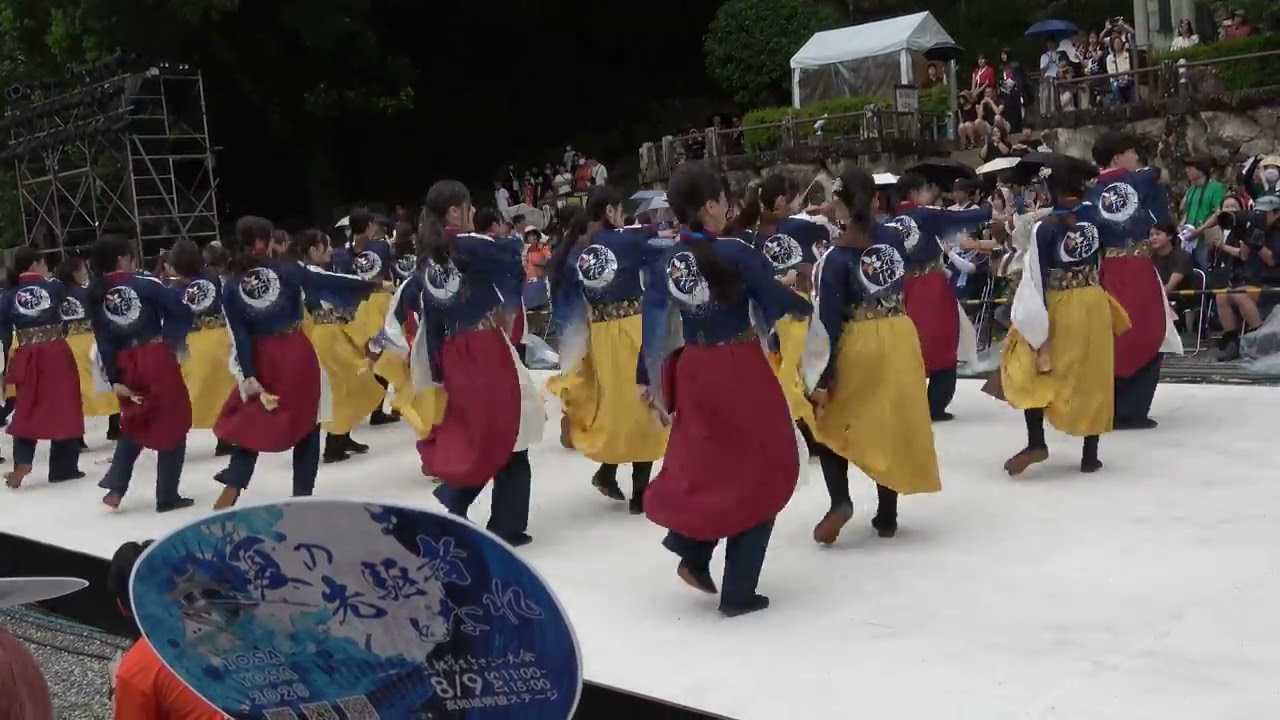 [４Ｋ】早稲田大学 東京花火(第５回土佐学生よさこい