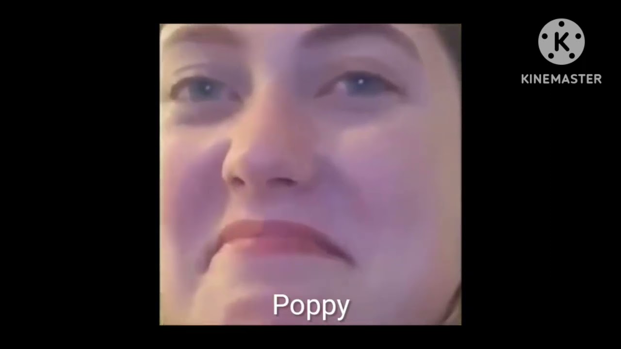Hogwarts Legacy as Vines 2