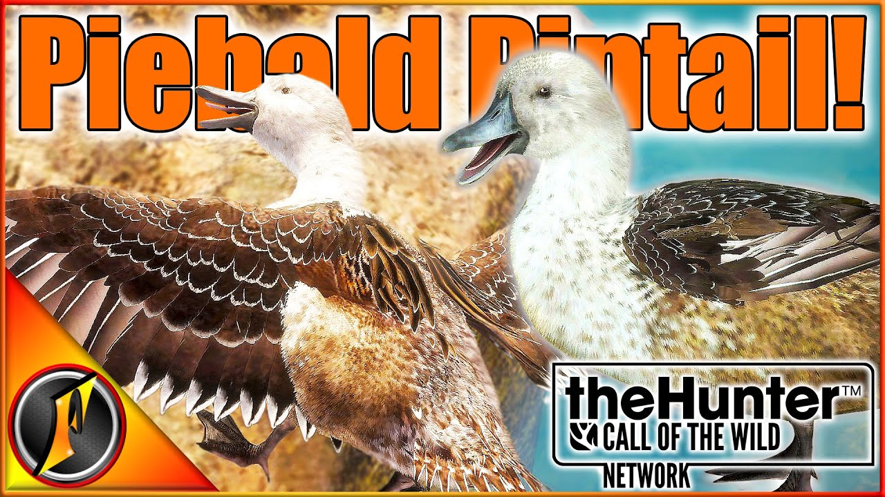 Double Troll & Piebald Pintail on Askiy Ridge! [EARLY ACCESS] | theHunter Call of the Wild