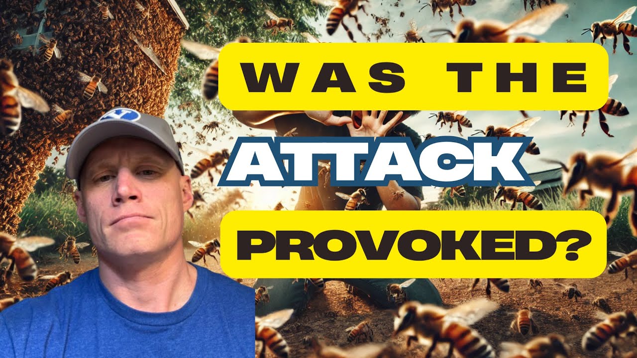 Shocking Arizona Bee Attack: My Reaction to This News! #beeattack #reactionvideo