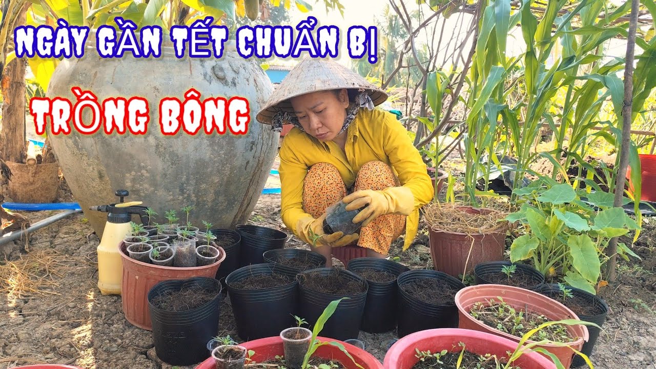 🌿|63| Những ngày gần tết chuẩn bị trồng bông, hái mớ rau trong vườn, làm thêm món bánh xèo mini...