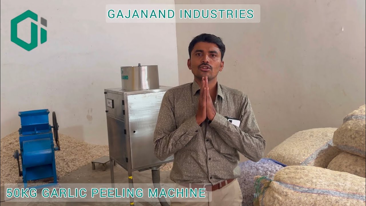 which business is good ~ How to trade peeled garlic | छिलके वाले लहसुन का व्यापार कैसे करें