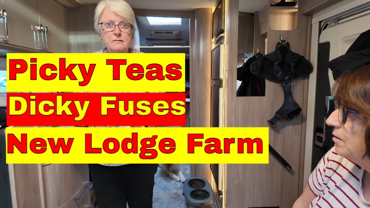 Disaster at New Lodge Farm