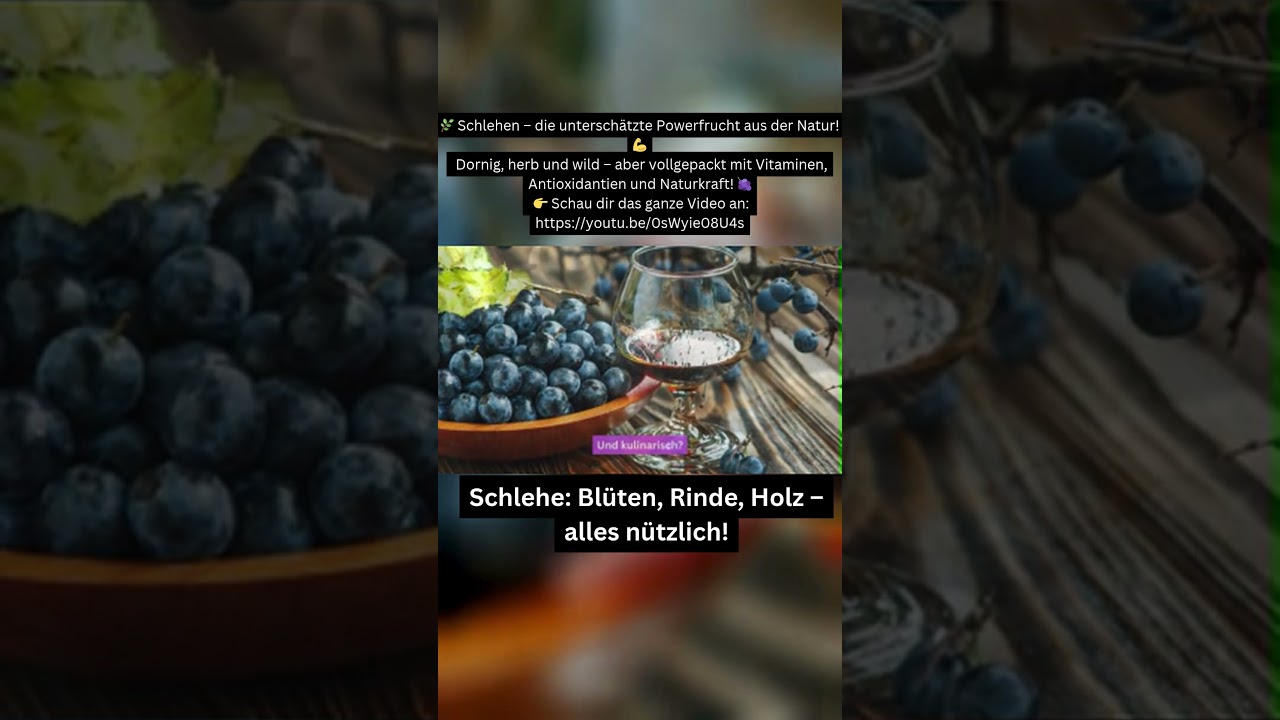Schlehen Die unterschätzte Powerfrucht aus der Natur