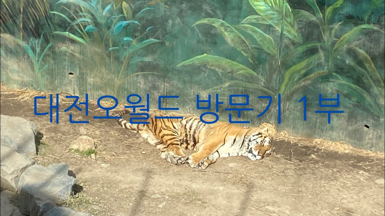 대전오월드 방문기 1부