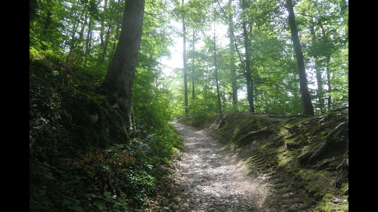 Heslacher Wand Stuttgart Hasenbergturm Hasenbergsteige Hajek Park Karlshöhe Feuersee