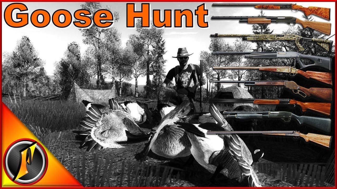 Охота на гуся с любым ружьём | theHunter Classic 2018