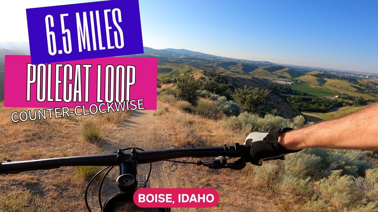 Hill Top Views! 6.5 Mile Counter-Clockwise Loop at Polecat. #mtb