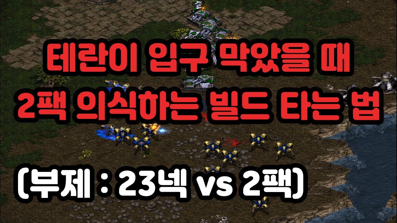 [프로토스 강의] 테란전 입구 막는 테란 상대로 빌드 타는법(부제 : 23넥 vs 2팩)