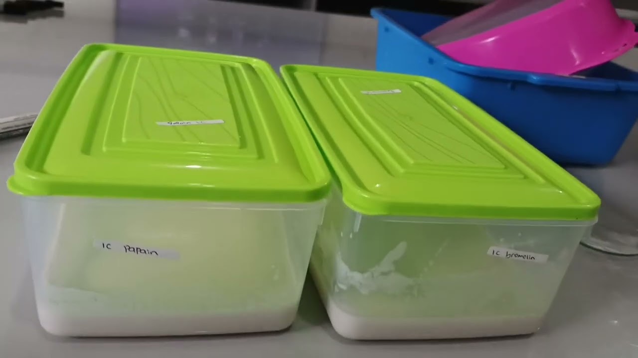 pembuatan Virgin Coconut Oil (VCO) 