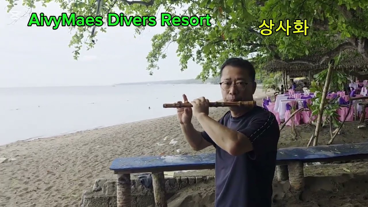 안예은 상사화을커버