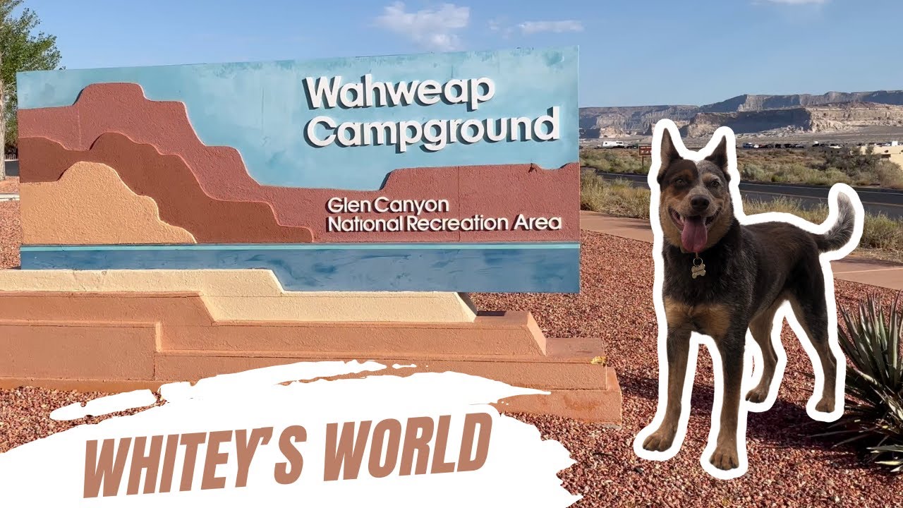 Lake Powell Camping: Wahweap RV & Campground Guide (Glen Canyon & Page, AZ)