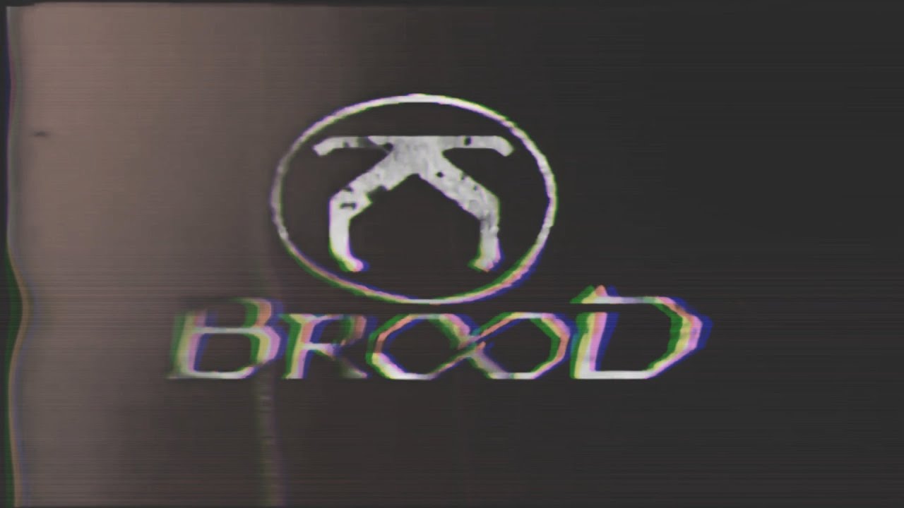 || The Hardys || 2020 || Custom titantron || The New Brood ||