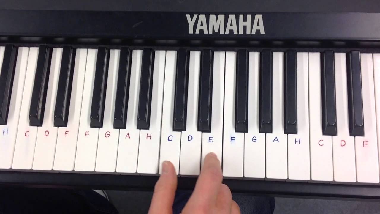 APINAORKESTERI koskettimet osa 1