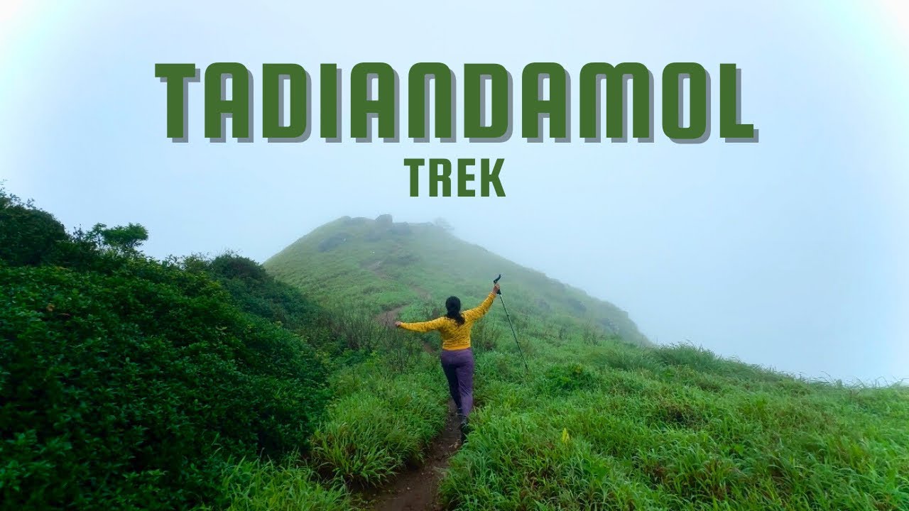 Everything About Tadiandamol Trek | Route, Food, Stay, Difficulty Explained & Complete Travel Vlog 