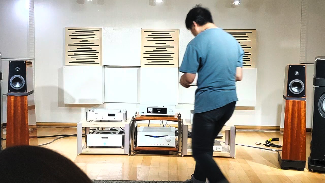 11 Verity Audio Leonore + Audia Flight FLS10 + Aurender A30